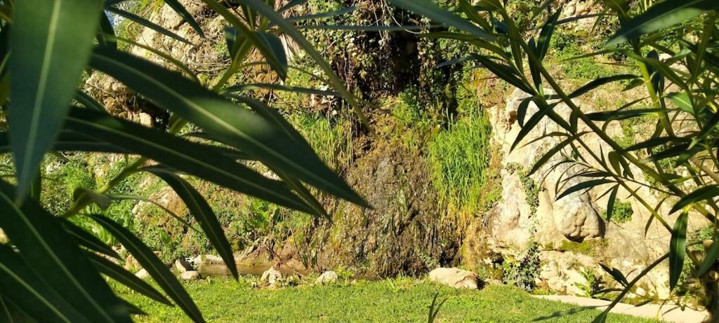Molino Del Caracol Villa Benaoján Exterior foto