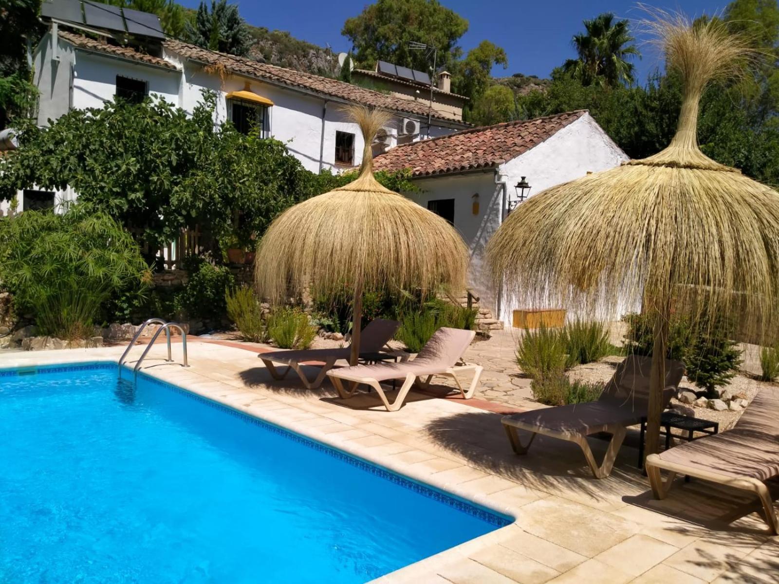 Molino Del Caracol Villa Benaoján Exterior foto