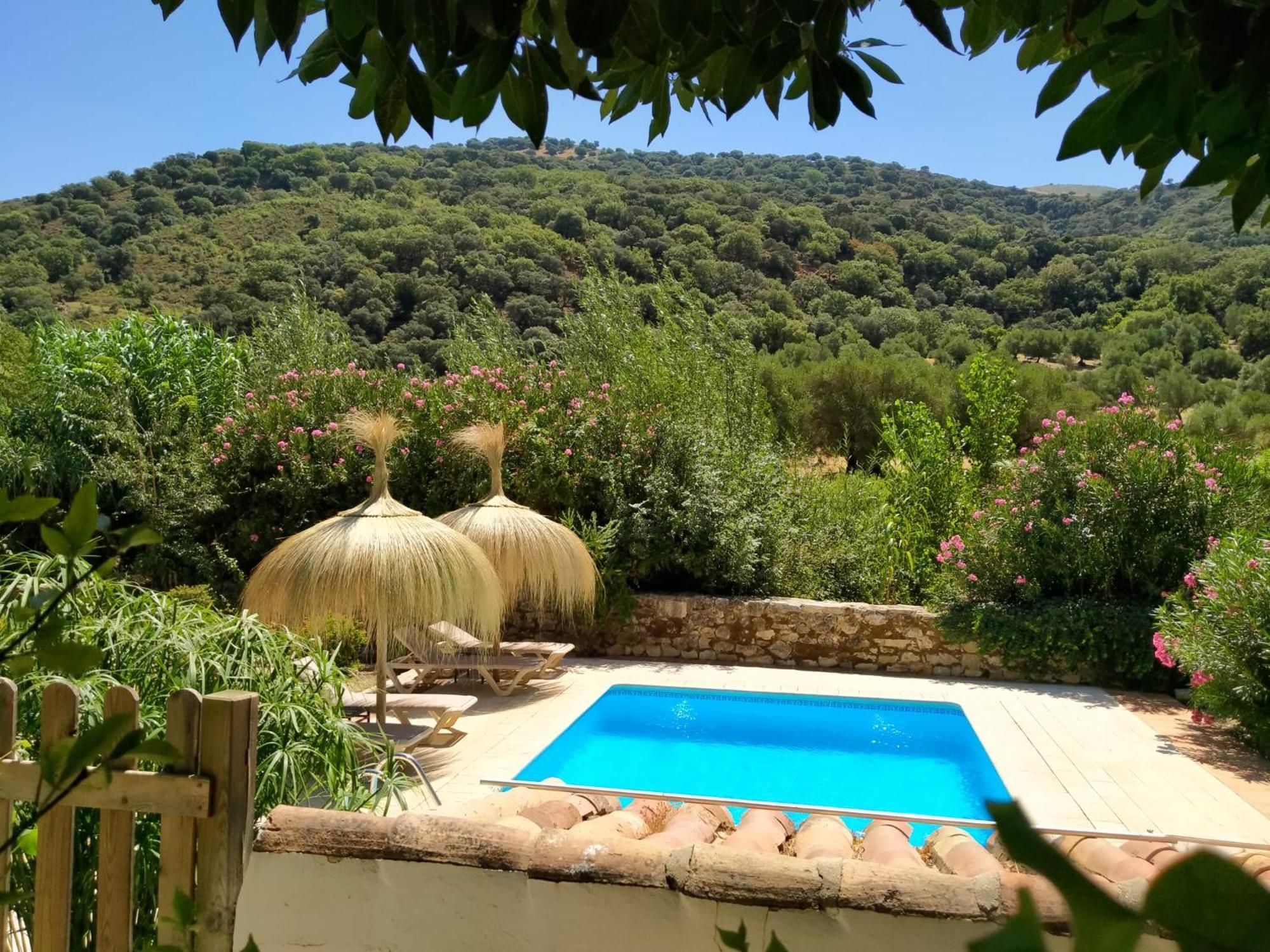 Molino Del Caracol Villa Benaoján Cameră foto